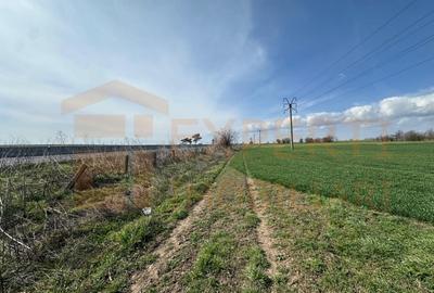 Teren Construcții extravilan de 18000 mp, în Valu lui Traian - 14