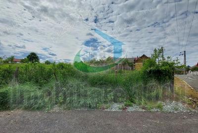 Teren de 2732 mp, în Șomcuta Mare - 6