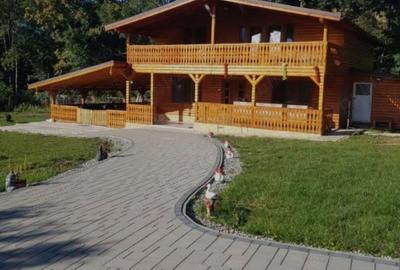 Cabana si Teren de Vanzare la Rimetea - 1