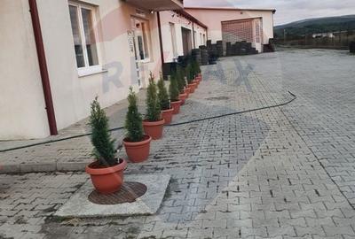 Hală comercială de vânzare – oportunitate excelentă de investiție - 9