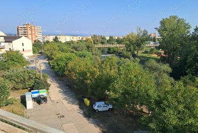 De vanzare ap, 50.mp, 1 cam., decomandat, pe malul Timisului, et. 4, in bloc cu acoperis de tigla - 9