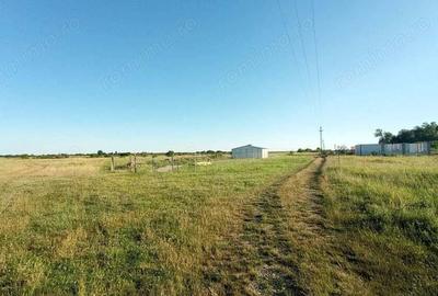 VANDUT Teren intravilan pentru casa Mo?ni?a Noua spre Urseni - 2