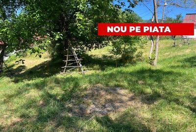 Teren 4996 mp zona de munte Comuna Arefu-Capataneni Arges - 1