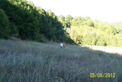 Spațiu comercial, în Enculești - 2