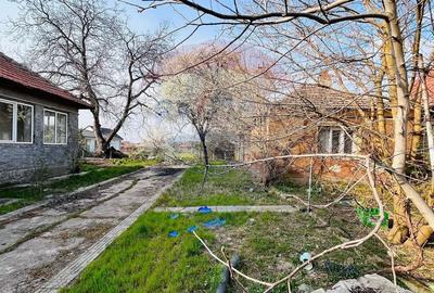 Casă cu 4 camere cu Teren 1367 Mp în Sântandrei - 3