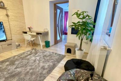 Casa renovata in Luna, langa Campia Turzii - 3