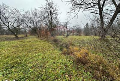 Teren de 1071 mp, în Tăuții-Măgherăuș - 1