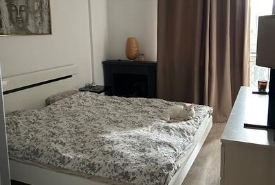 Apartament cu 2 camere nedecomandat, mobilat în Theodor Pallady - 3