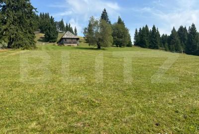 Teren de 20000 mp, în Central - 2