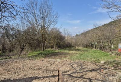 Spațiu comercial, în Drâmbar - 1