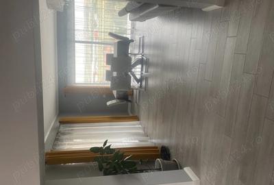 Vand casa complet utilata, 240 mp + 500 mp teren, Dezmir-str. Padurii - 10