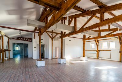 Casă individuală cu 5 camere cu Canalizare în Cișmigiu - 14