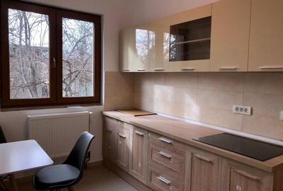 Apartament cu 2 camere decomandat, mobilat în Bălcescu - 7