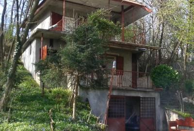 Teren de 7000 mp, în Spinuș - 4
