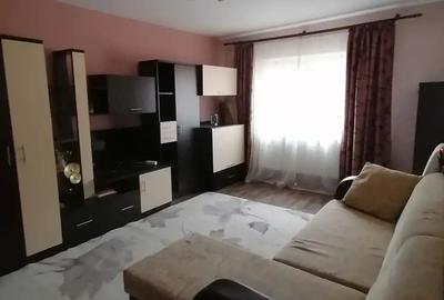 Apartament ultracentral in Petro?ani, de vanzare sau inchiriere 300 euro pe luna - 1