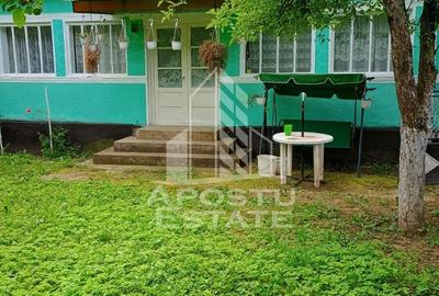 Casa bătrânească de vânzare | 4 camere | Hunedoara | Micănești - 40