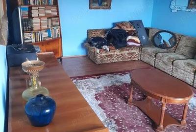 Casă cu 8 camere cu Teren 180000 Mp în Pietroiu - 3