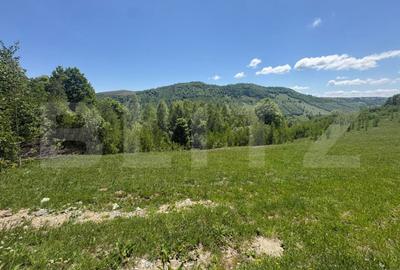 Teren de 1000 mp, în Muntele Băișorii - 2