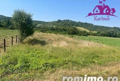 Teren intravilan Hidiselul de Sus - 7