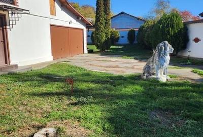 Casă cu 2 camere cu Teren 2900 Mp în Scorțeni - 3