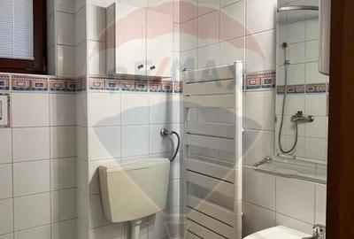 Apartament / Birou, 4 camere, Floreasca - Dorobanti, 163 mp + curte - 21