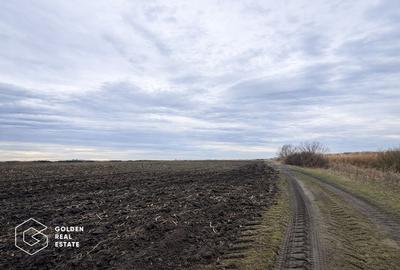 Teren agricol extravilan de 17900 mp, în Utvin - 1