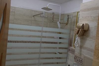 Garsonieră  Craiovei,  confort 1 - stradal , complet utilată  si mobilata - 13