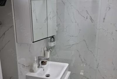 Apartament cu 3 camere decomandat în Banu Manta - 10