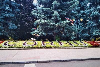 Manuel recomanda : cel mai frumos teren din Cornu - zona centrala - 12