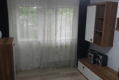 Apartament cu 2 camere semidecomandat în Vest - 13