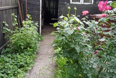 Apartament cu 2 camere decomandat în Chitila - 3