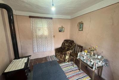Casa de vanzare in Tisa Noua, teren generos - 10