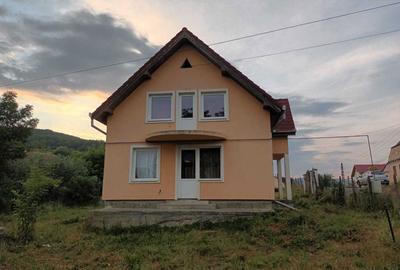 Casă cu 4 camere cu Teren 1600 Mp în Seleuș (Daneș) - 7