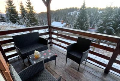 Cabana Statiunea muntele Baisorii - 10