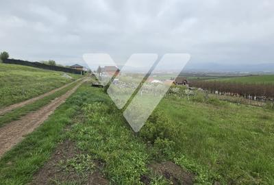 Teren Construcții intravilan de 536 mp, în Șura Mare - 4