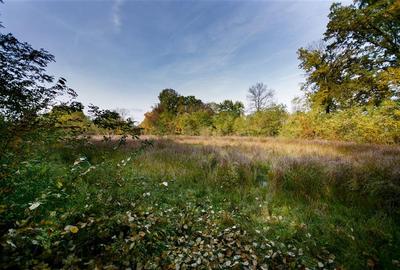 Teren Construcții intravilan de 64000 mp, în Cil - 2