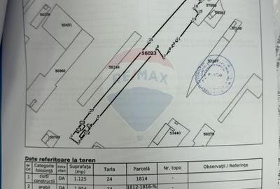 Casă cu 4 camere cu Teren 13000 Mp în Țifești - 11