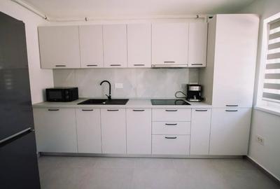 Apartament cu 2 camere decomandat în Podgoria - 15