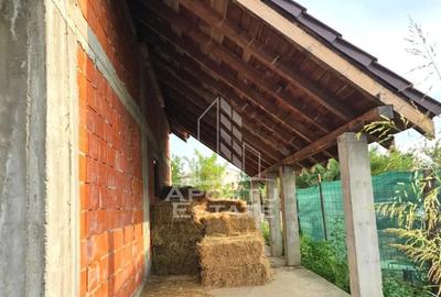 Casă cu 7 camere cu Teren 4421 Mp în Curtici - 7