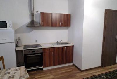 7 Noiembrie - Inchiriere apartament 1 camera - B-dul 22 Decembrie 1989 - 11