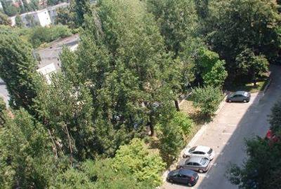 Apartament cu 3 camere semidecomandat, mobilat în Dristor - 4