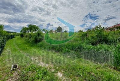Teren de 2732 mp, în Șomcuta Mare - 3