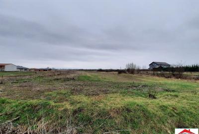 Teren de 12216 mp, în Vetiș