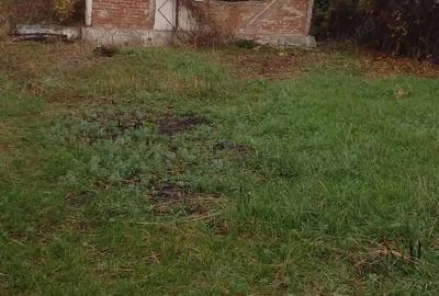 Teren de 2700 mp, în Dumbrăvești - 3