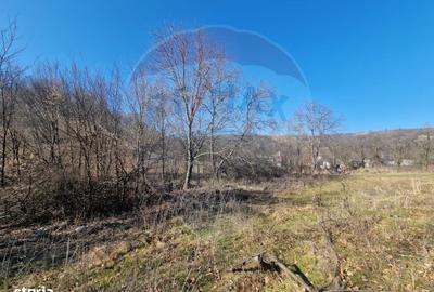 Teren de 4985 mp, în Sascut - 17