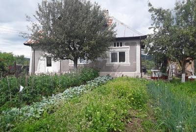 Casa situata  la poalele dealurilor subcarpatice in zona pomicola. - 1