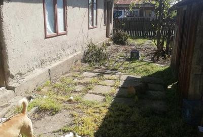 Casă cu Teren 900 Mp în Ciocănești - 2