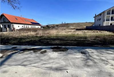 Teren în Băile Felix - 4