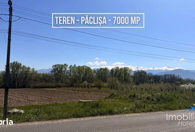 Teren de 6870 mp, în Totești - 2