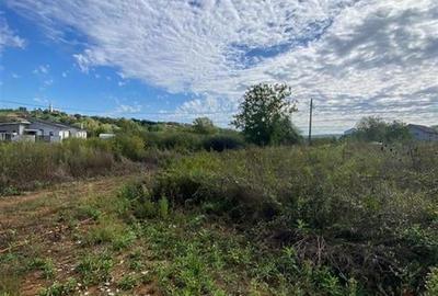 RECO Teren intravilan Paleu 647mp cu Utilitati inclusiv Gaz - 4